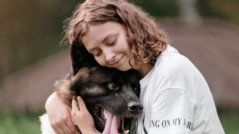 dog-5964181_1280-e1726763928172-768×768 dog-5964181_1280-e1726763928172-768x768
